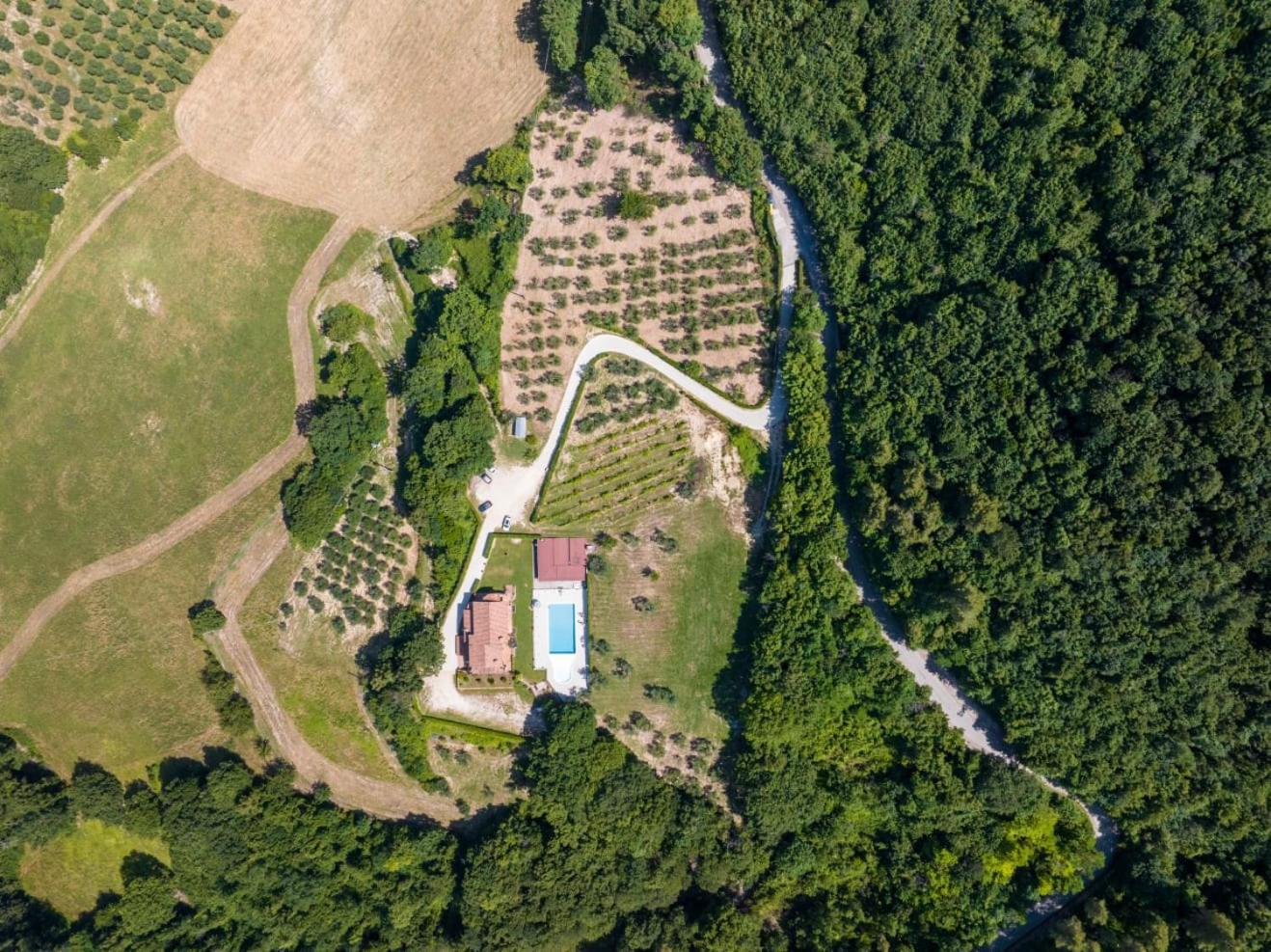 Agriturismo Isola Verde SantʼUrbano المظهر الخارجي الصورة