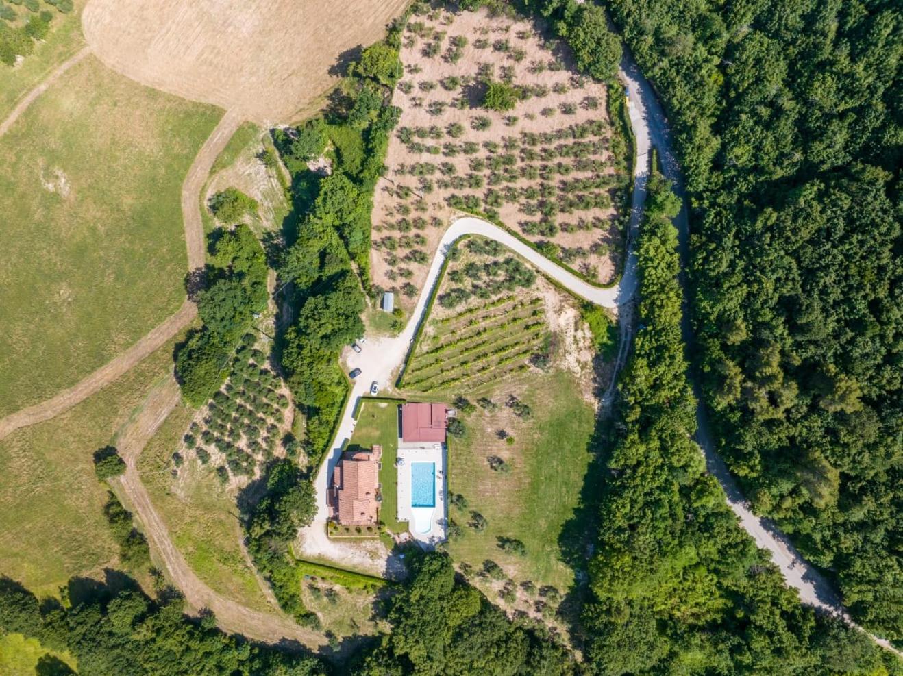 Agriturismo Isola Verde SantʼUrbano المظهر الخارجي الصورة
