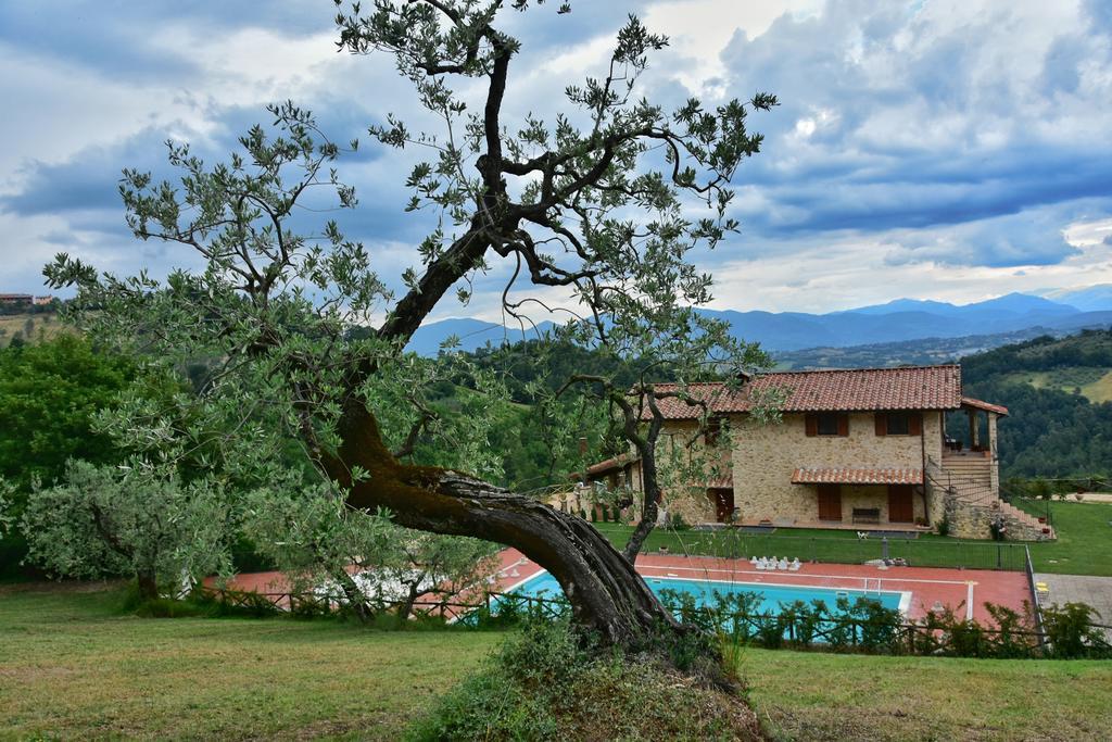 Agriturismo Isola Verde SantʼUrbano المظهر الخارجي الصورة