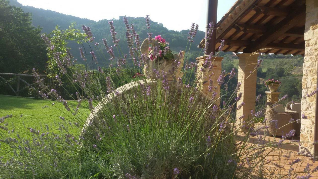 Agriturismo Isola Verde SantʼUrbano المظهر الخارجي الصورة