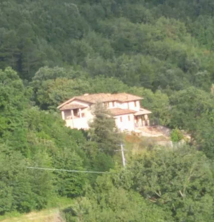 Agriturismo Isola Verde SantʼUrbano المظهر الخارجي الصورة