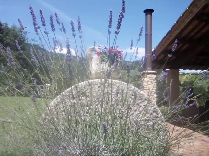 Agriturismo Isola Verde SantʼUrbano المظهر الخارجي الصورة