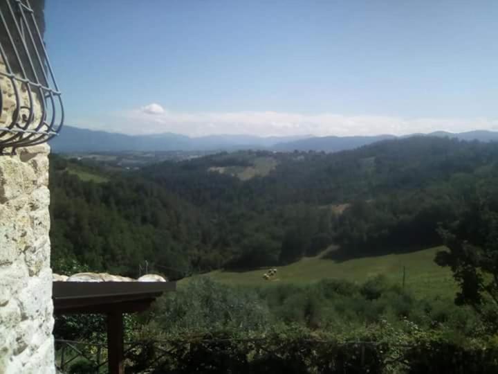 Agriturismo Isola Verde SantʼUrbano المظهر الخارجي الصورة